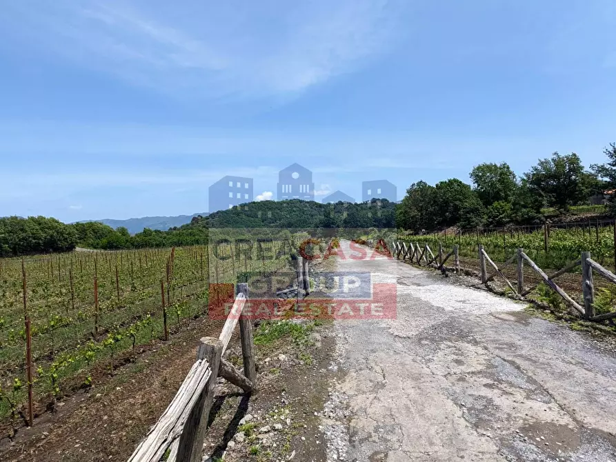 Immagine 3 di Agriturismo in vendita  in c.da Cerro a Castiglione Di Sicilia