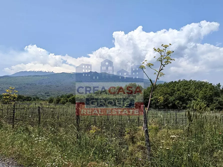 Immagine 4 di Agriturismo in vendita  in c.da Cerro a Castiglione Di Sicilia