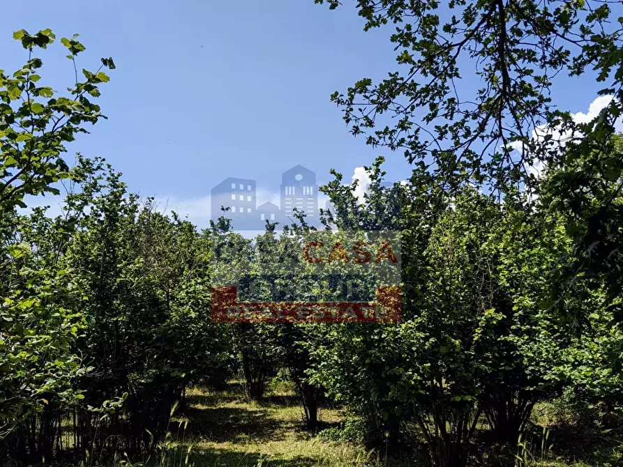 Immagine 11 di Agriturismo in vendita  in c.da Cerro a Castiglione Di Sicilia