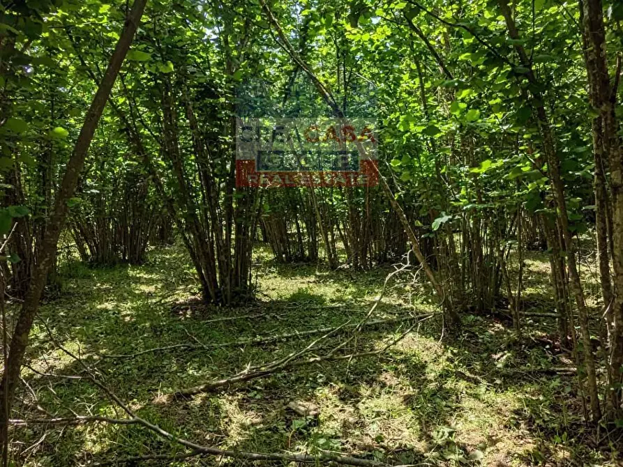 Immagine 16 di Agriturismo in vendita  in c.da Cerro a Castiglione Di Sicilia