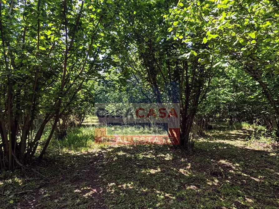 Immagine 17 di Agriturismo in vendita  in c.da Cerro a Castiglione Di Sicilia