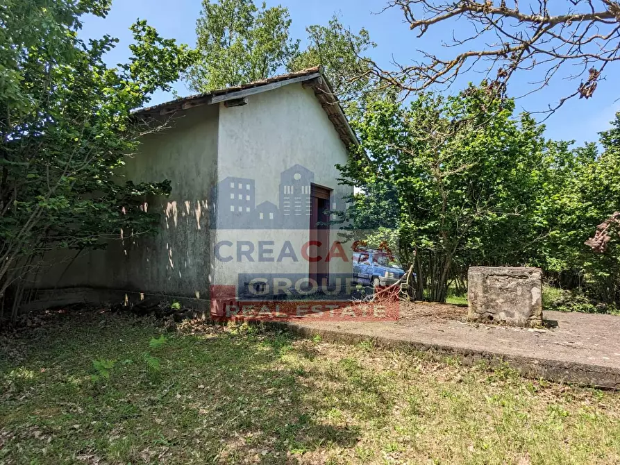 Immagine 19 di Agriturismo in vendita  in c.da Cerro a Castiglione Di Sicilia