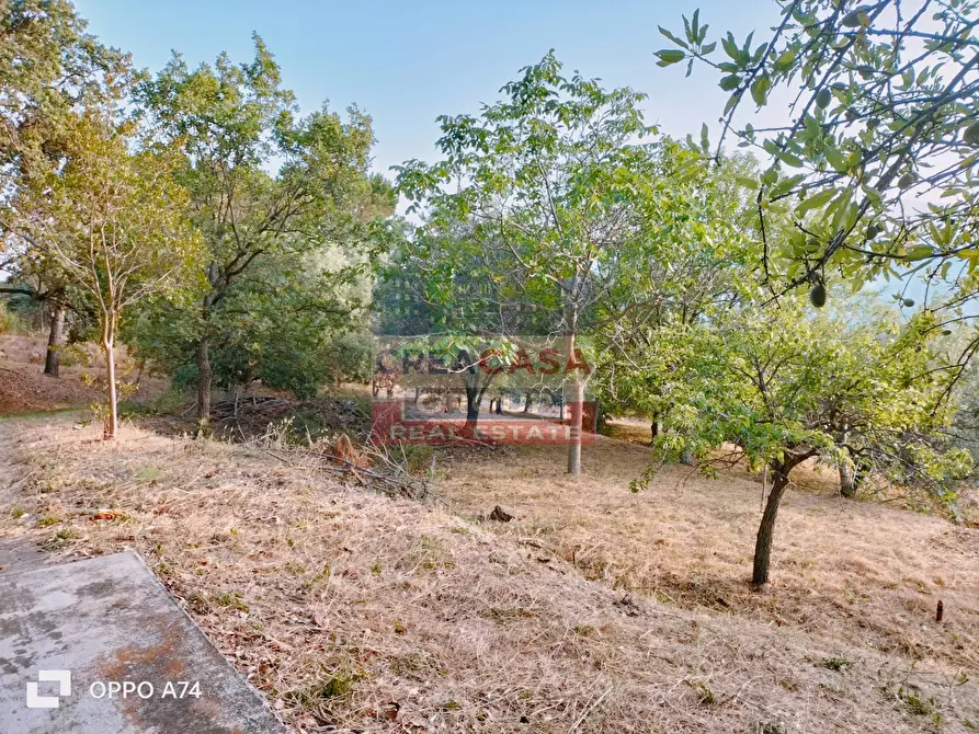 Immagine 24 di Villa in vendita  in c.da acqualorto a Antillo