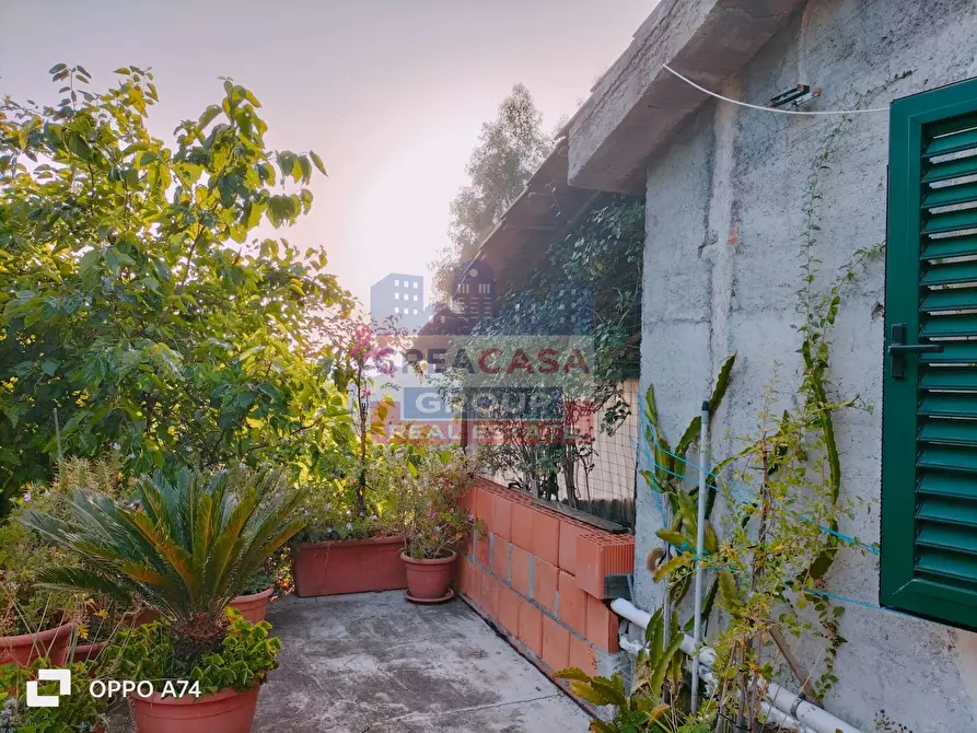 Immagine 20 di Villa in vendita  in c.da acqualorto a Antillo