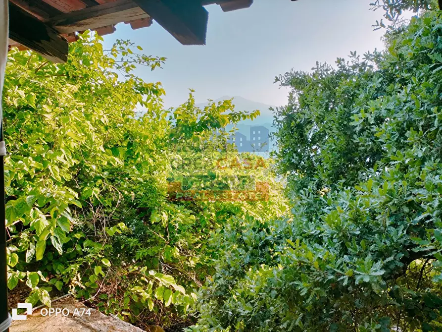 Immagine 42 di Villa in vendita  in c.da acqualorto a Antillo