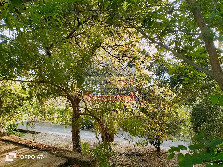 Immagine 44 di Villa in vendita  in c.da acqualorto a Antillo