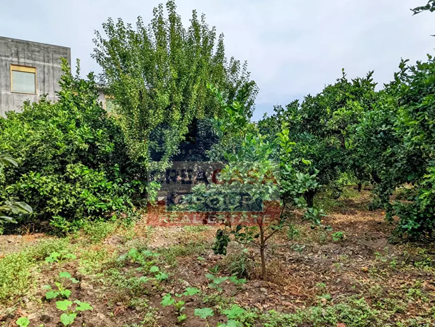 Immagine 15 di Palazzo in vendita  in Viale delle Province a Giarre