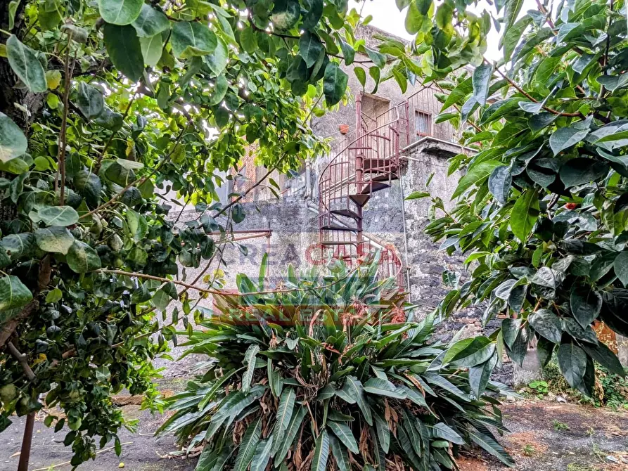 Immagine 10 di Palazzo in vendita  in Viale delle Province a Giarre