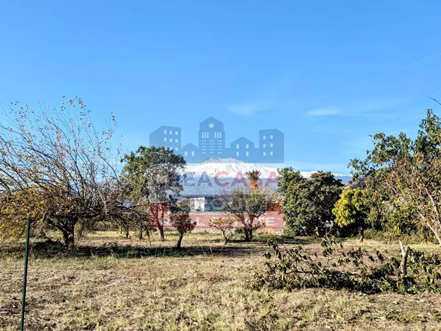 Immagine 4 di Terreno residenziale in vendita  in via Garibaldi a Calatabiano