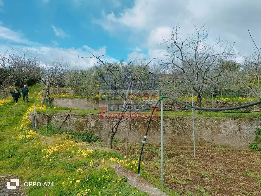 Immagine 1 di Villa in vendita  in via castagne a Piedimonte Etneo