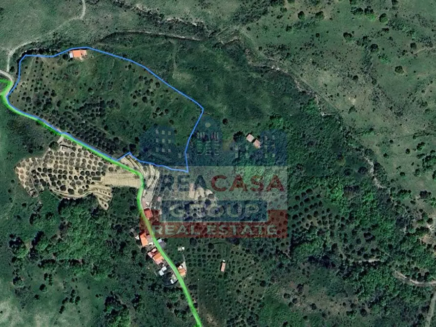 Immagine 4 di Agriturismo in vendita  in contrada Rinazzi a Antillo