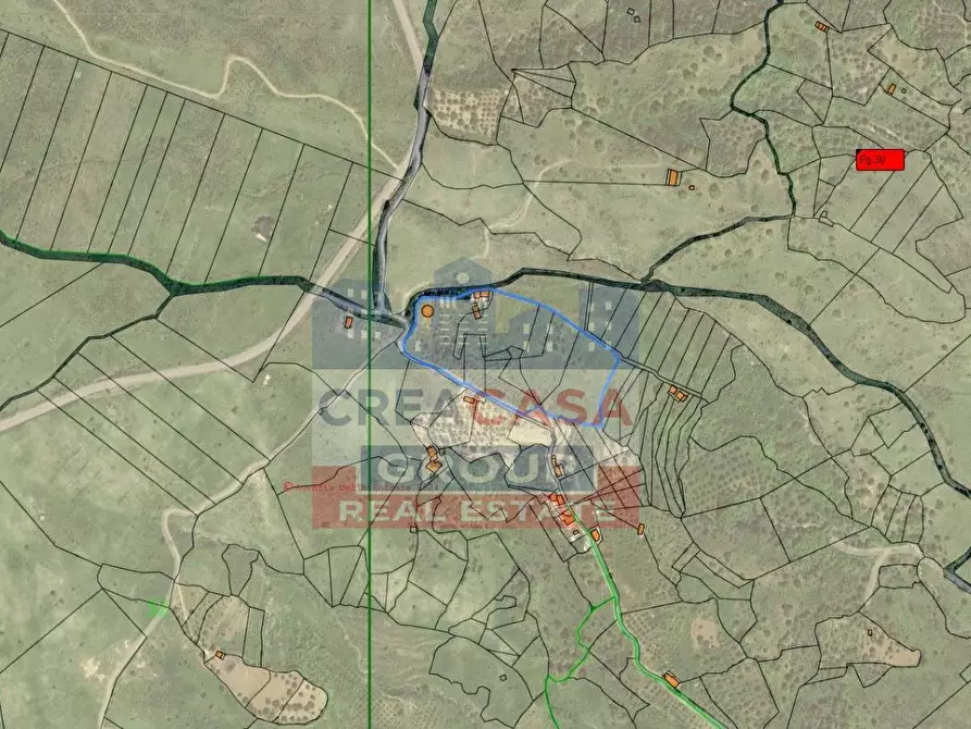 Immagine 5 di Agriturismo in vendita  in contrada Rinazzi a Antillo