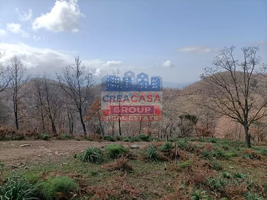 Immagine 6 di Agriturismo in vendita  in contrada Rinazzi a Antillo