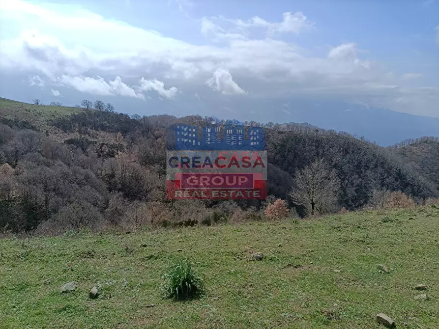 Immagine 7 di Agriturismo in vendita  in contrada Rinazzi a Antillo