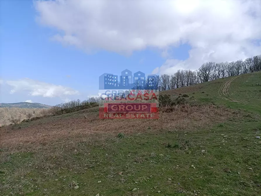 Immagine 8 di Agriturismo in vendita  in contrada Rinazzi a Antillo