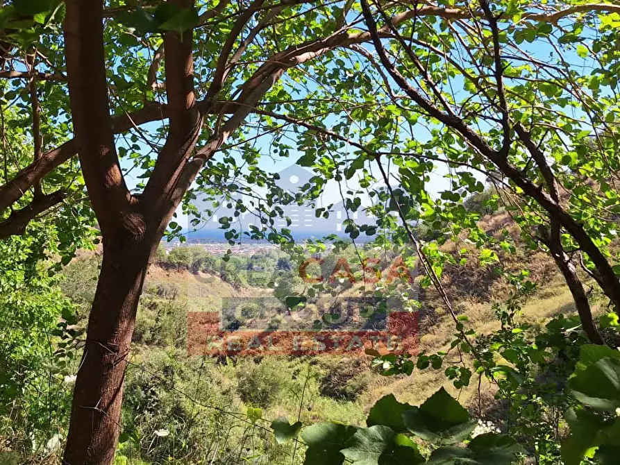 Immagine 1 di Casa indipendente in vendita  in Contrada pietraperciata a Francavilla Di Sicilia