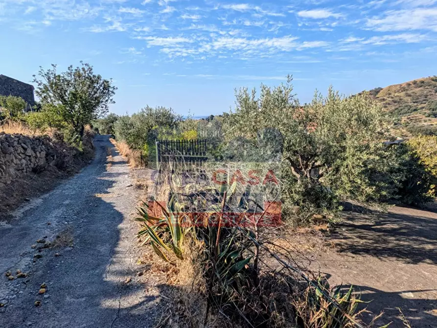 Immagine 3 di Agriturismo in vendita  in Piano Croce a Calatabiano