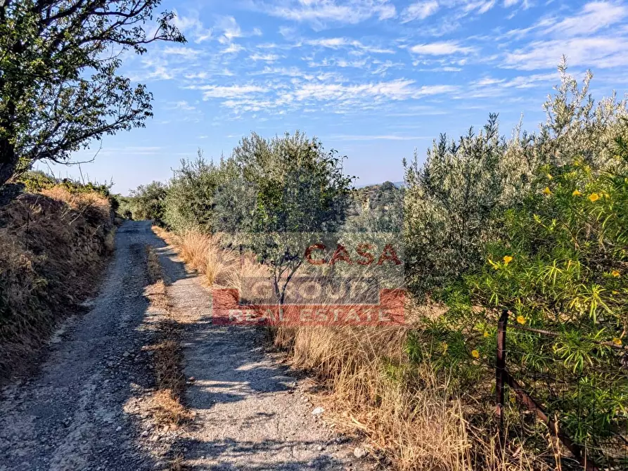 Immagine 5 di Agriturismo in vendita  in Piano Croce a Calatabiano
