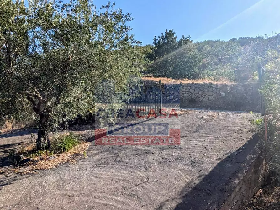 Immagine 9 di Agriturismo in vendita  in Piano Croce a Calatabiano