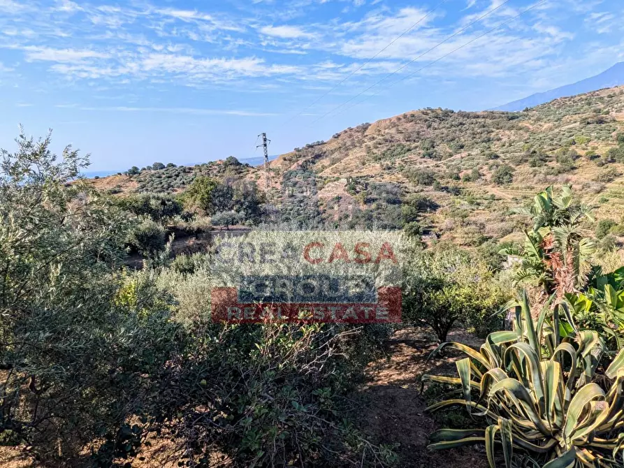 Immagine 16 di Agriturismo in vendita  in Piano Croce a Calatabiano