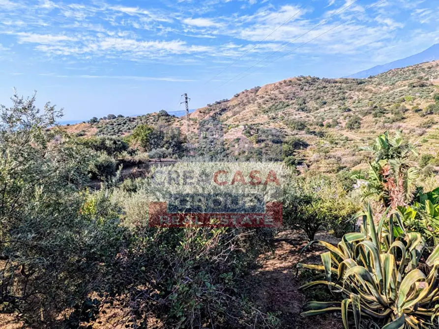 Immagine 17 di Agriturismo in vendita  in Piano Croce a Calatabiano