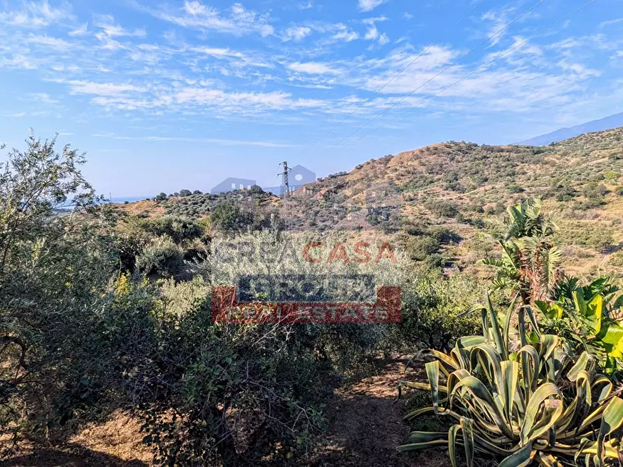 Immagine 19 di Agriturismo in vendita  in Piano Croce a Calatabiano