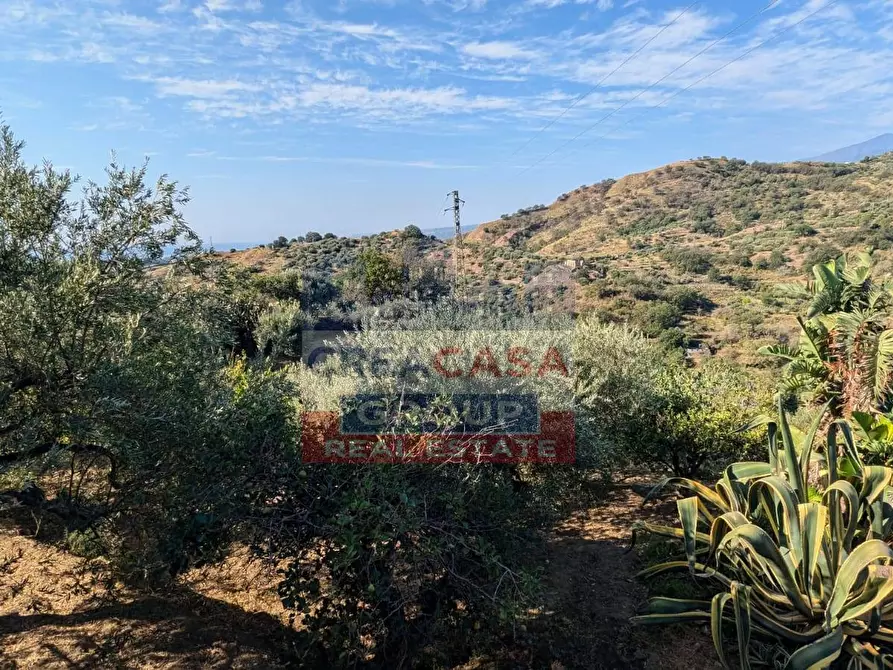 Immagine 20 di Agriturismo in vendita  in Piano Croce a Calatabiano