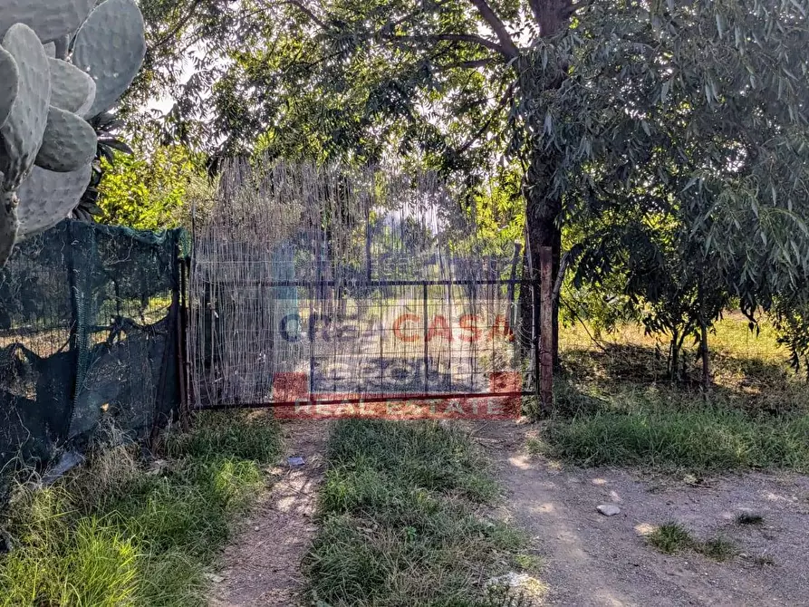 Immagine 3 di Terreno agricolo in vendita  in Pegno Quaderaro a Calatabiano