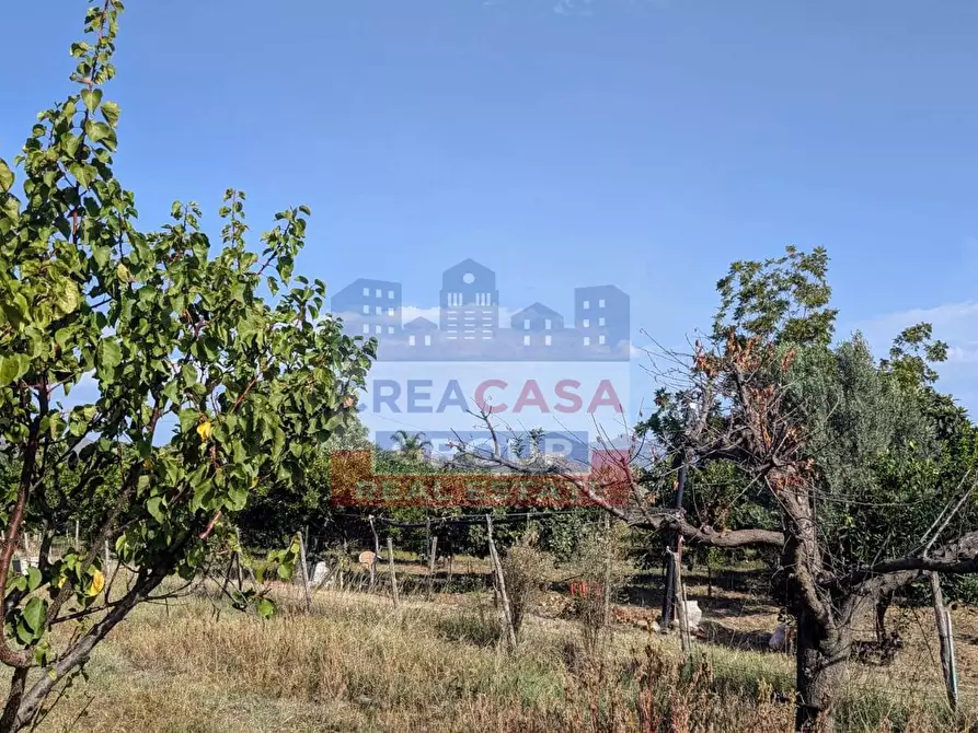 Immagine 9 di Terreno agricolo in vendita  in Pegno Quaderaro a Calatabiano