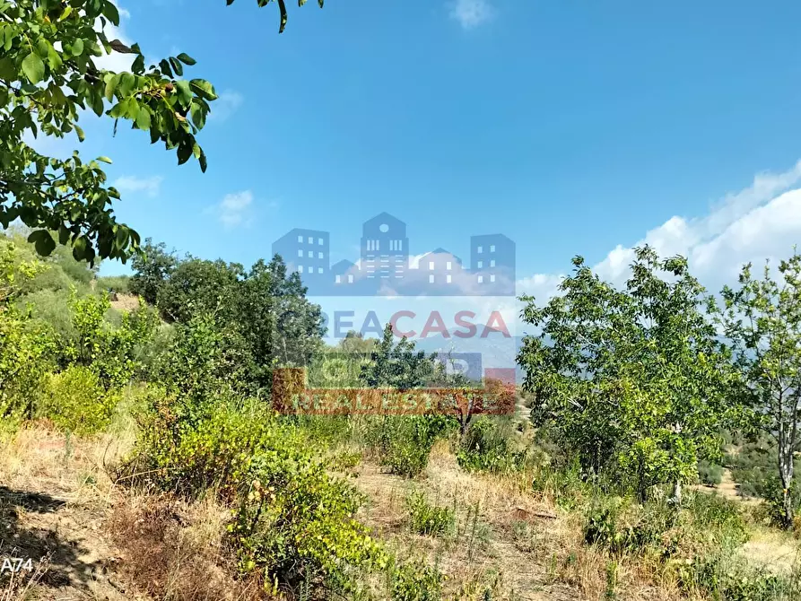 Immagine 2 di Agriturismo in vendita  in Contrada Gurnazzo a Calatabiano