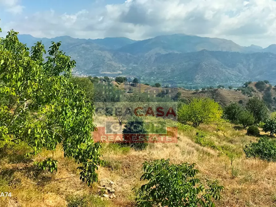 Immagine 3 di Agriturismo in vendita  in Contrada Gurnazzo a Calatabiano