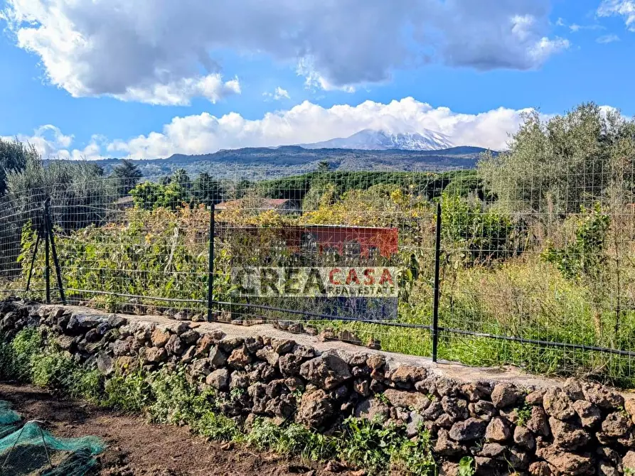 Immagine 50 di Villa in vendita  in via Albero San Filippo a Piedimonte Etneo