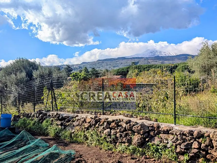 Immagine 51 di Villa in vendita  in via Albero San Filippo a Piedimonte Etneo