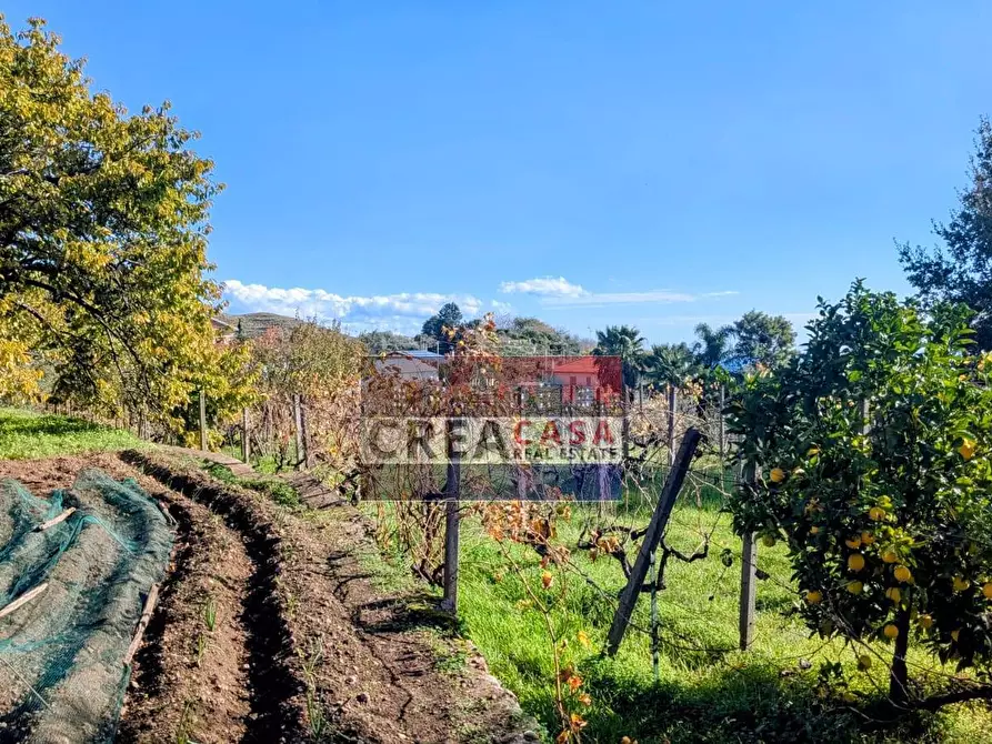 Immagine 52 di Villa in vendita  in via Albero San Filippo a Piedimonte Etneo
