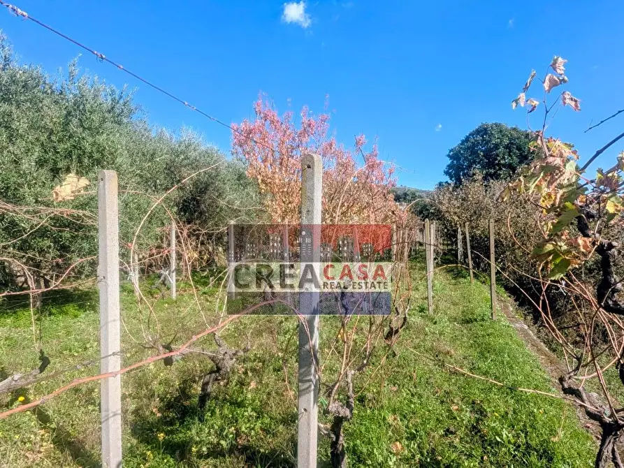 Immagine 53 di Villa in vendita  in via Albero San Filippo a Piedimonte Etneo