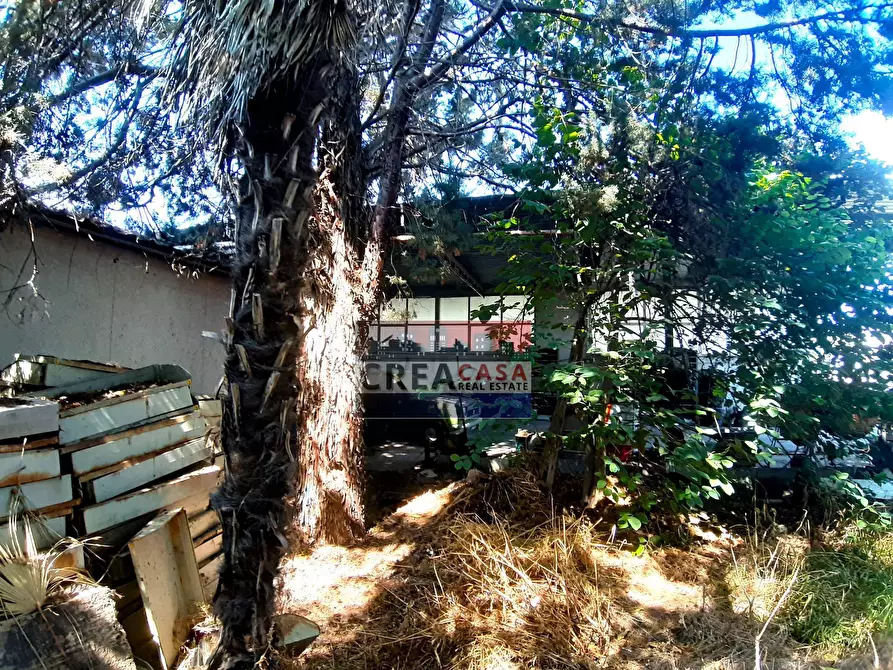 Immagine 17 di Capannone industriale in vendita  in SS 114 a Calatabiano