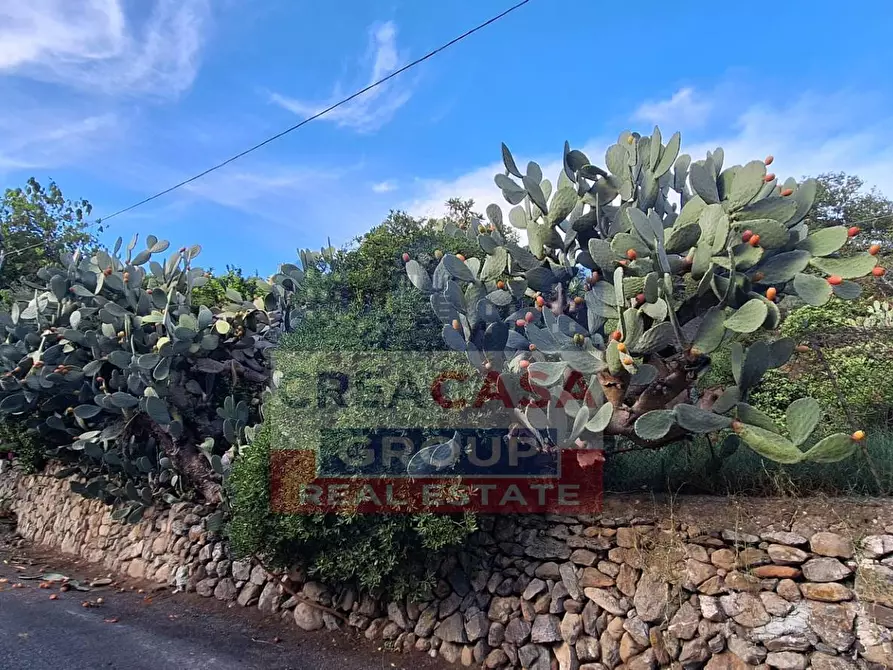 Immagine 3 di Terreno residenziale in vendita  a Graniti