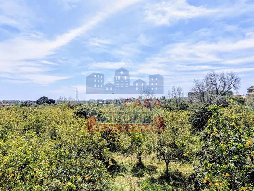 Immagine 21 di Appartamento in vendita  in via g. Garibaldi a Calatabiano
