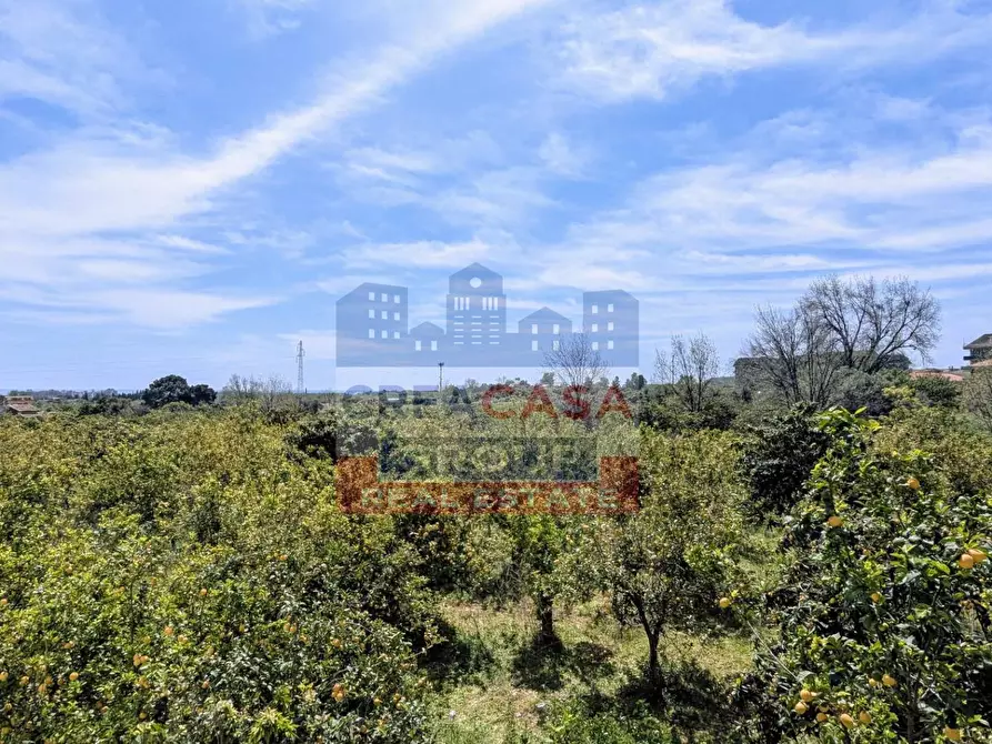 Immagine 22 di Appartamento in vendita  in via g. Garibaldi a Calatabiano