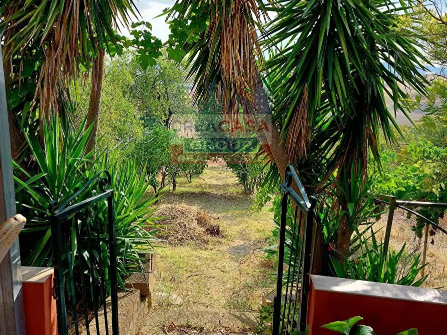 Immagine 3 di Villa in vendita  in c.da sparacio a Aidone