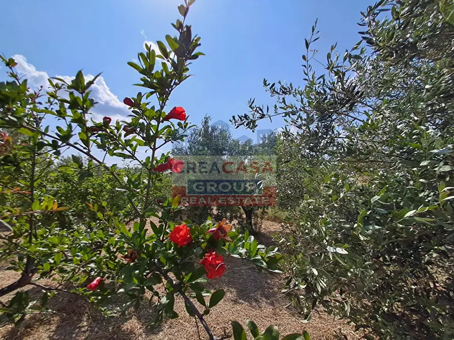 Immagine 37 di Villa in vendita  in c.da sparacio a Aidone