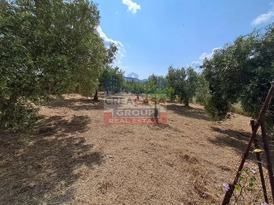 Immagine 38 di Villa in vendita  in c.da sparacio a Aidone