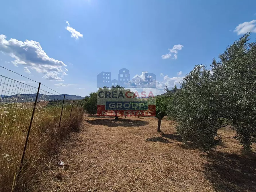 Immagine 40 di Villa in vendita  in c.da sparacio a Aidone