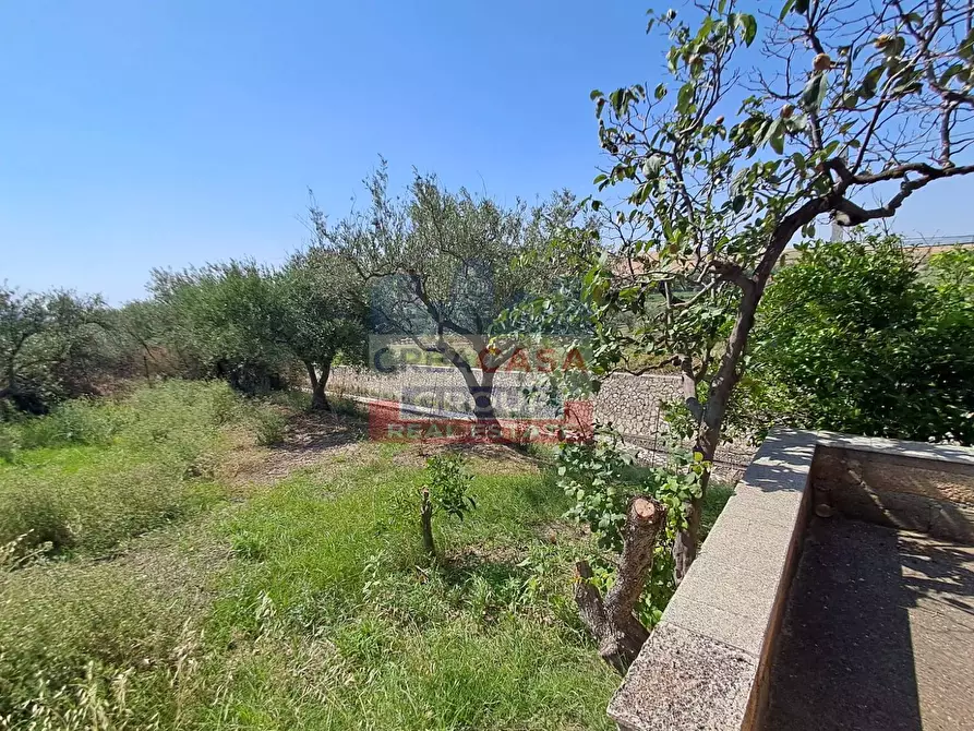 Immagine 24 di Villa in vendita  in contrada sparacio a Aidone