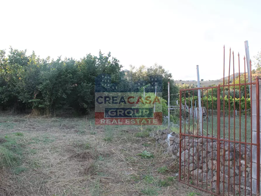 Immagine 3 di Terreno agricolo in vendita  in Contrada Gaeto a Castiglione Di Sicilia
