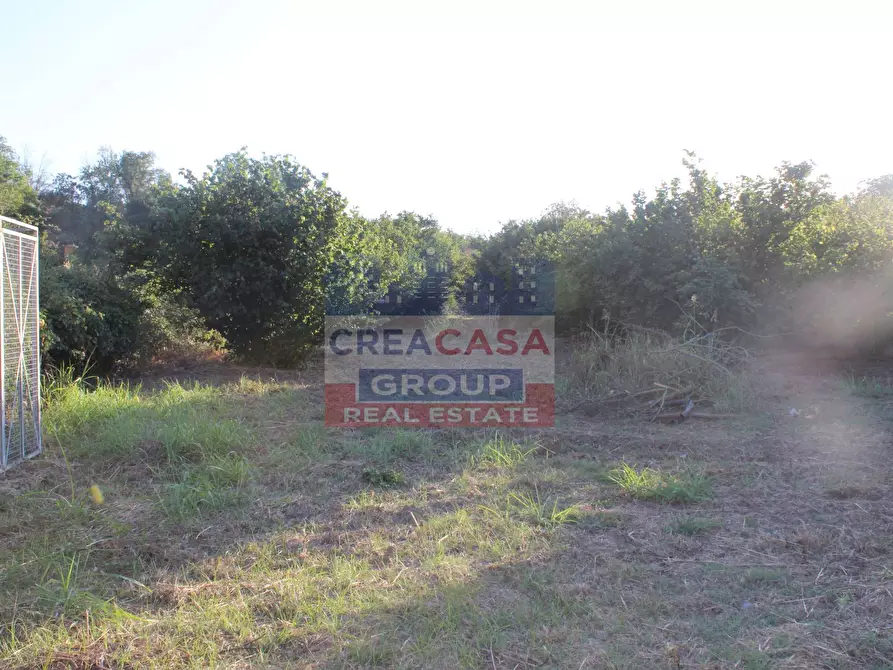 Immagine 4 di Terreno agricolo in vendita  in Contrada Gaeto a Castiglione Di Sicilia