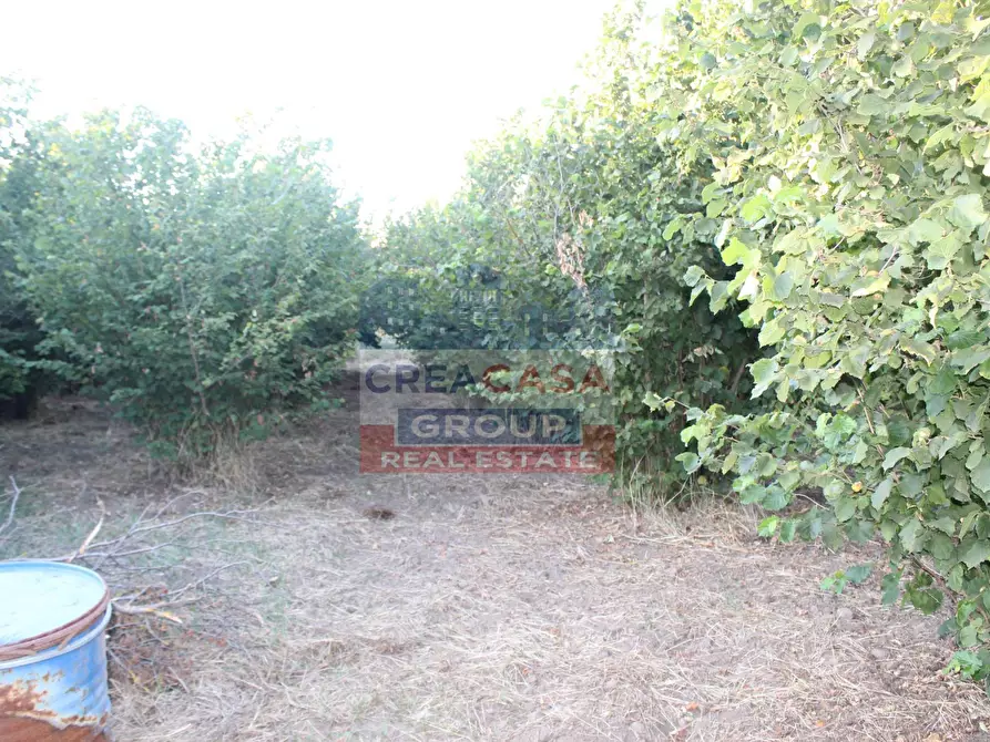 Immagine 6 di Terreno agricolo in vendita  in Contrada Gaeto a Castiglione Di Sicilia