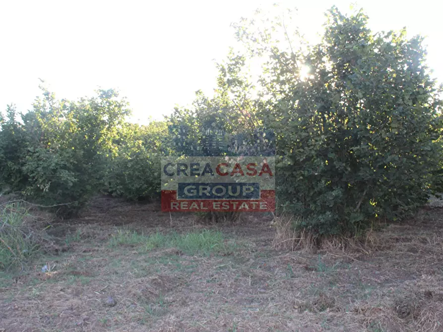 Immagine 7 di Terreno agricolo in vendita  in Contrada Gaeto a Castiglione Di Sicilia