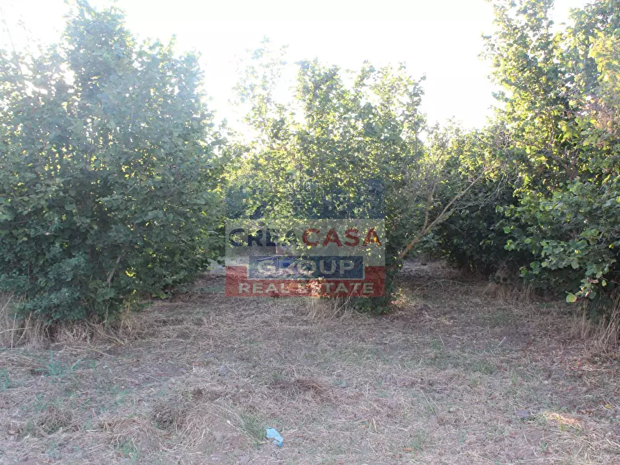 Immagine 8 di Terreno agricolo in vendita  in Contrada Gaeto a Castiglione Di Sicilia