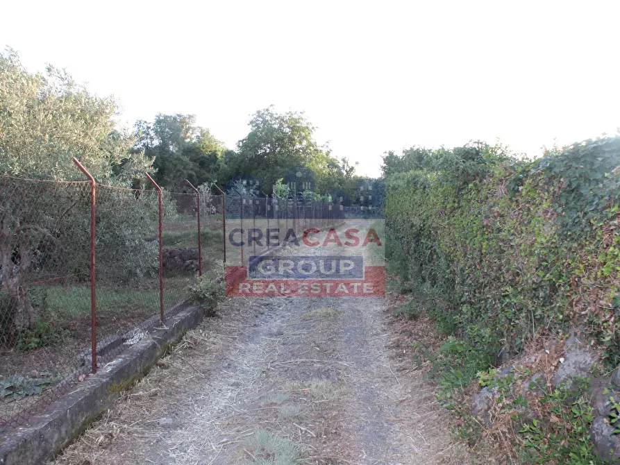 Immagine 9 di Terreno agricolo in vendita  in Contrada Gaeto a Castiglione Di Sicilia